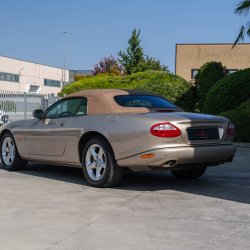 _DSC1424_original